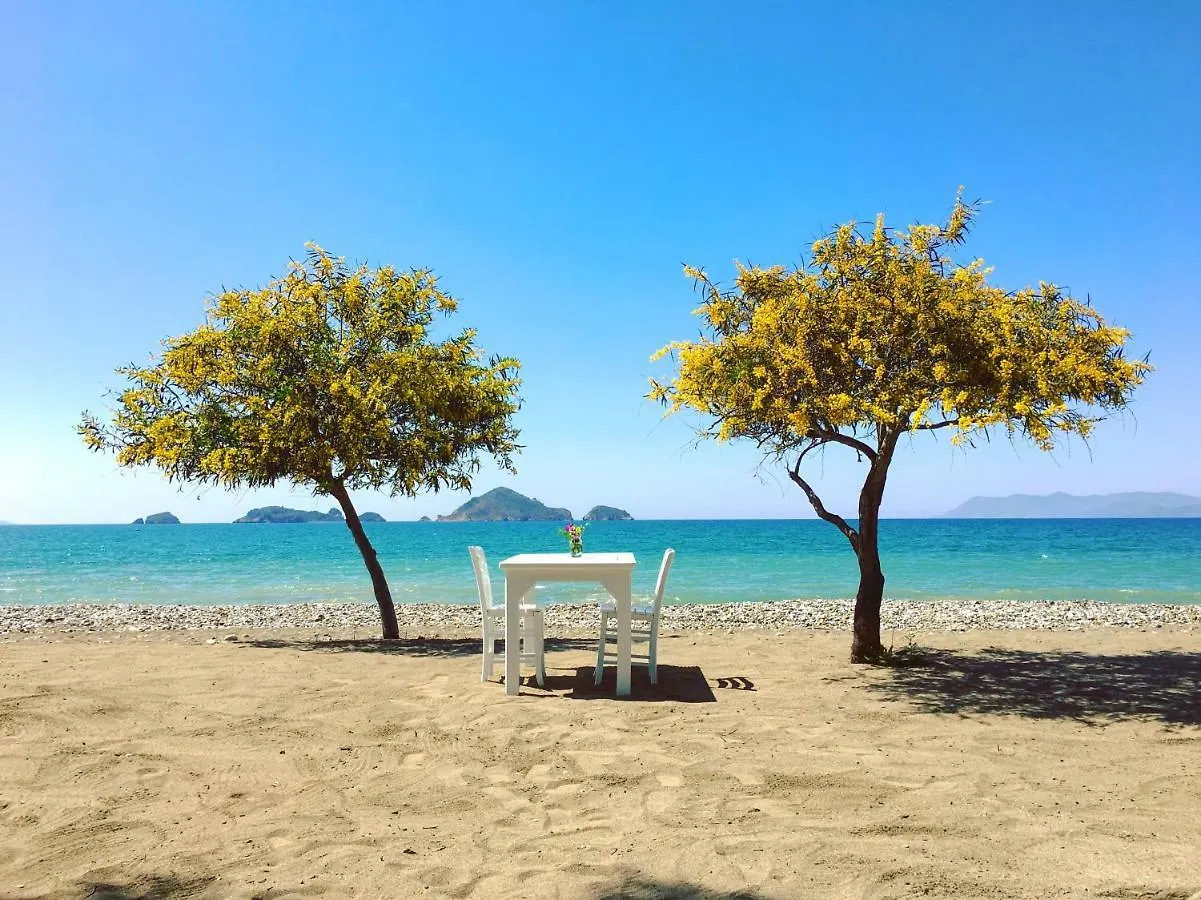 Yonca Lodge Fethiye 3*,